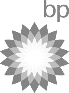 Bp black and white logo