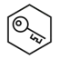 Key icon