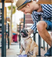 PetSmart thumbnail