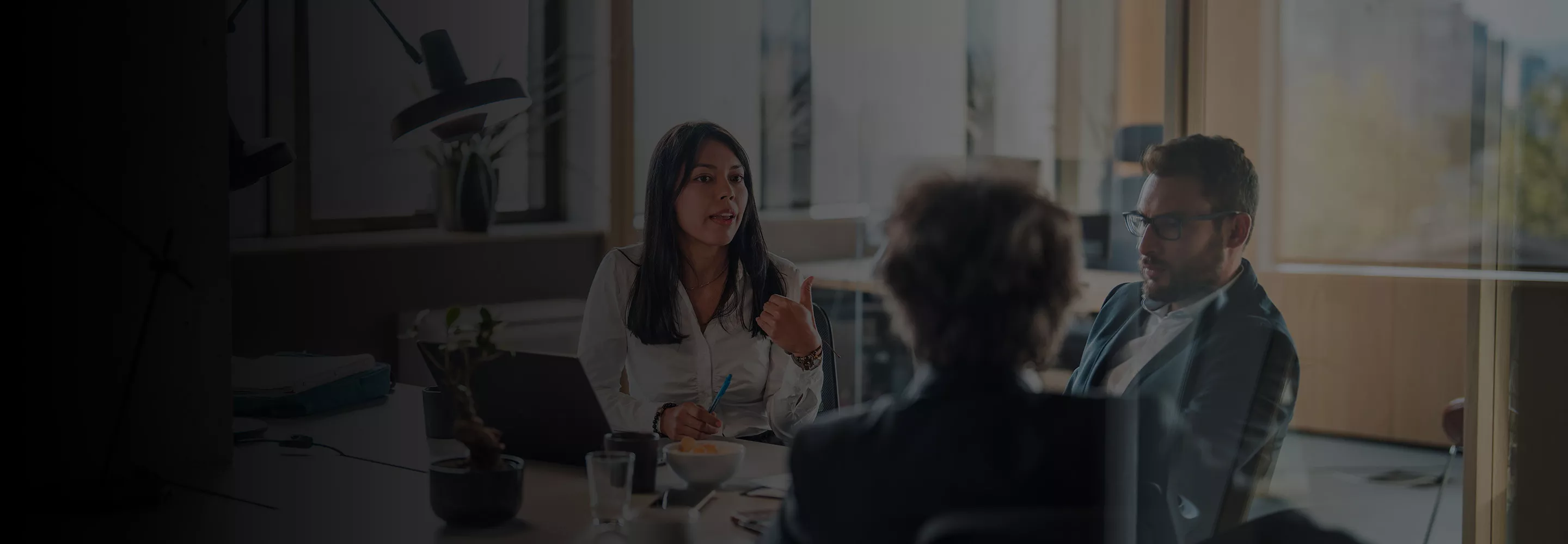 Insurance companies header cropped