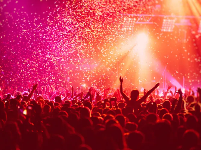 People at a concert