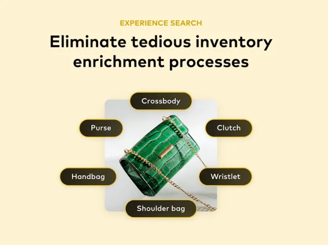Experience search
